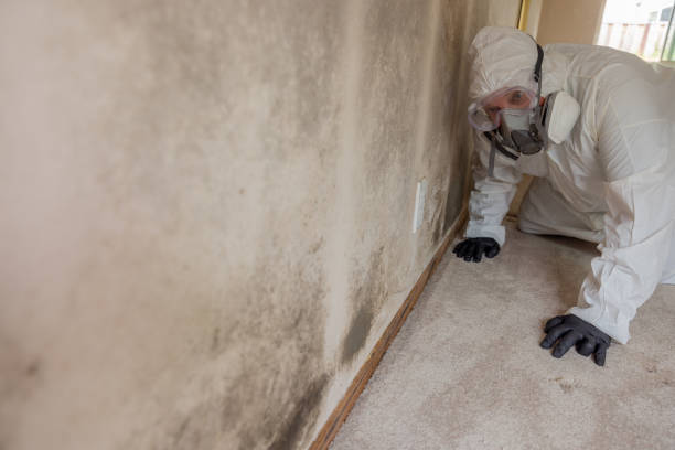 Best Residential Mold Inspection & Testing  in Norcross, GA